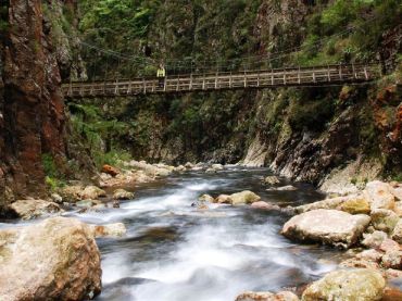 Kaimai Mamaku Forest Park