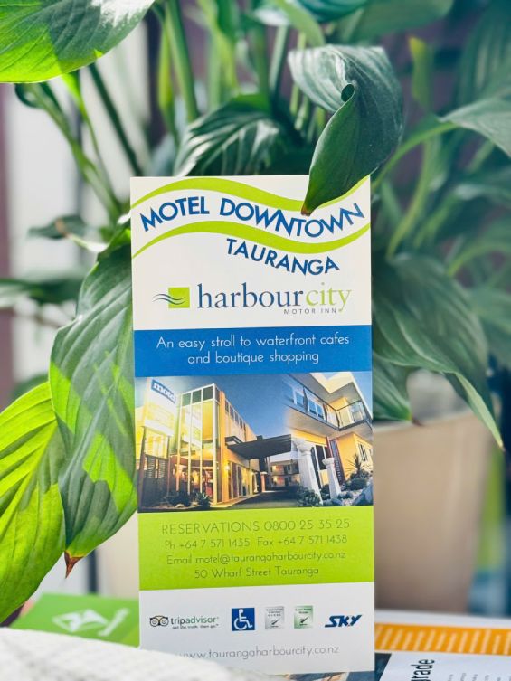 Stay in Tauranga